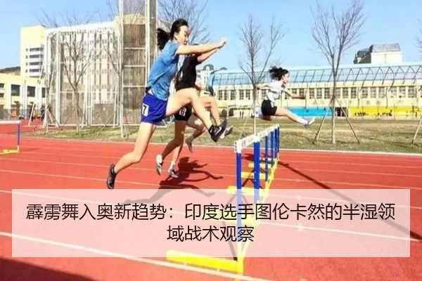 pi-li-wu-ru-ao-xin-qu-shi-yin-du-xuan-shou-tu-lun-ka-ran-de-ban-shi-ling-yu-zhan-shu-guan-cha-3-536.jpg
